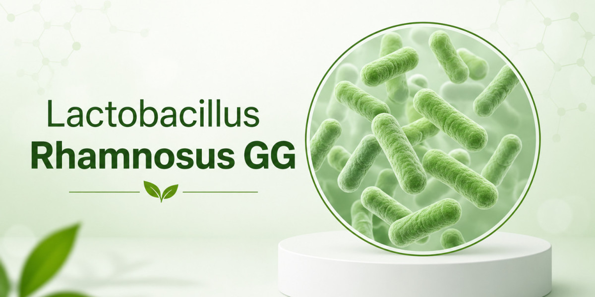 Global Lactobacillus Rhamnosus GG Market: Advancing Probiotic Health Solutions