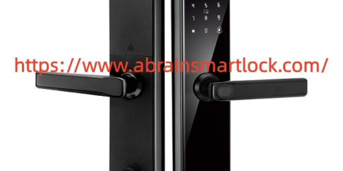 Which Details Matter When Selecting Abrain Level Touch Smart Lock