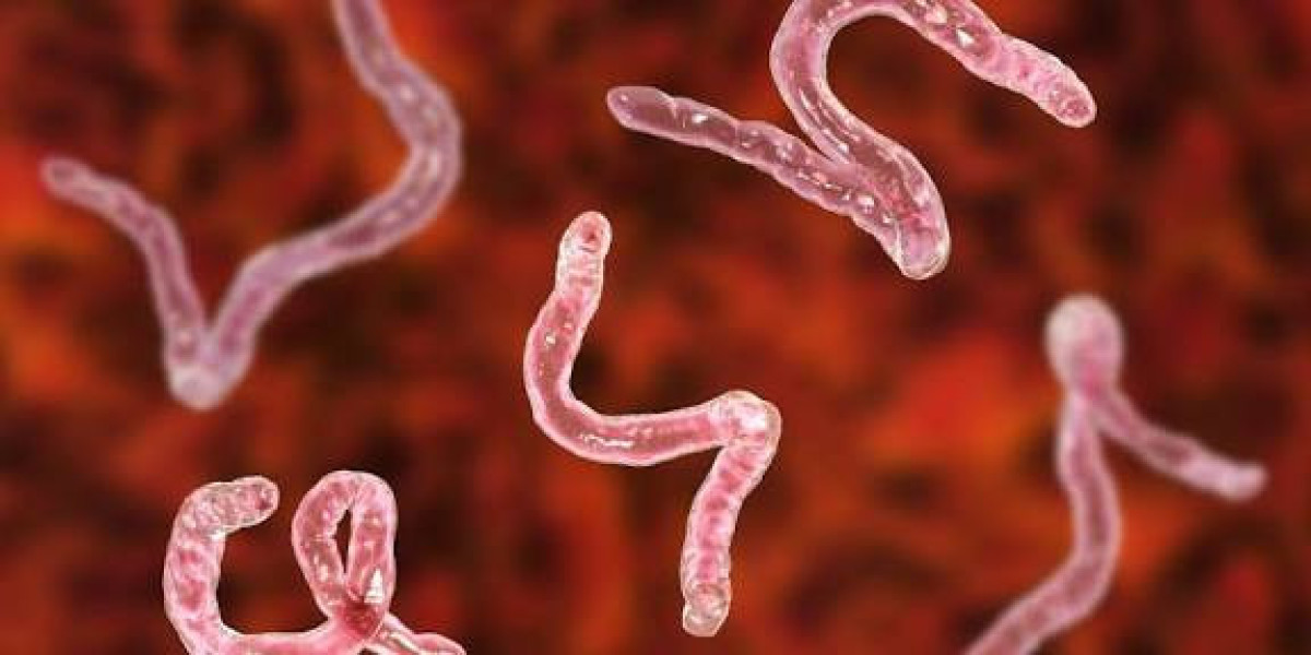Parasite vs Bacteria: Know the Difference Between