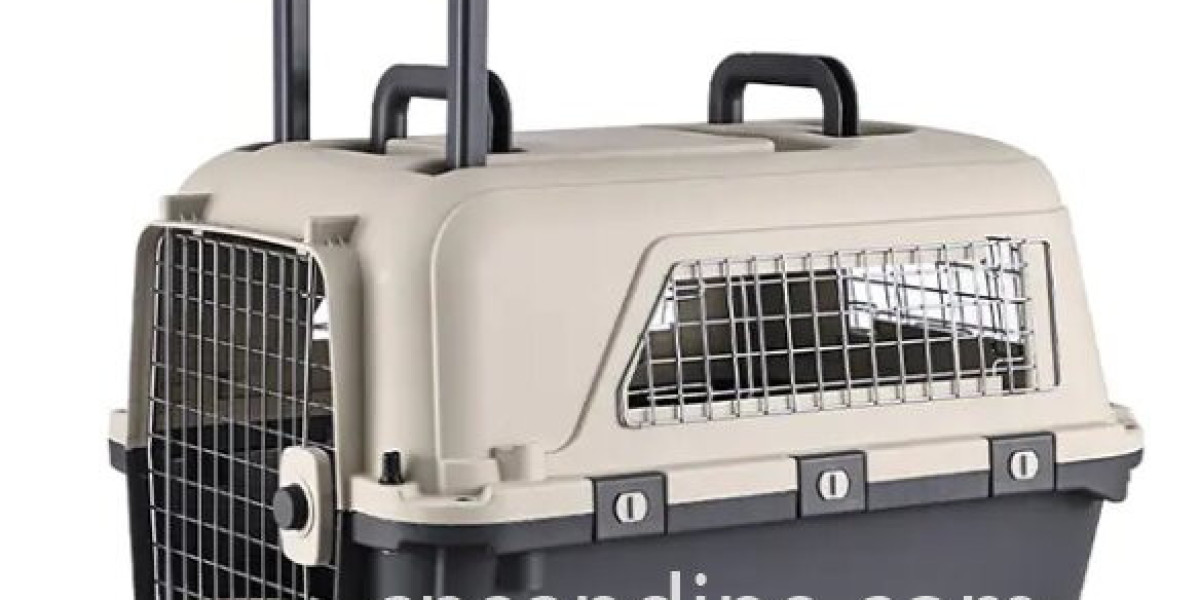 Material and Manufacturing Choices in Custom Battery Case Production