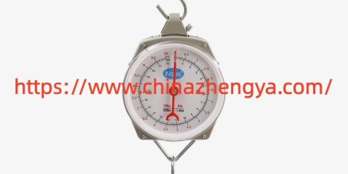 Can Nengzhi Digital Spring Scale Options Fit Your Business Plans
