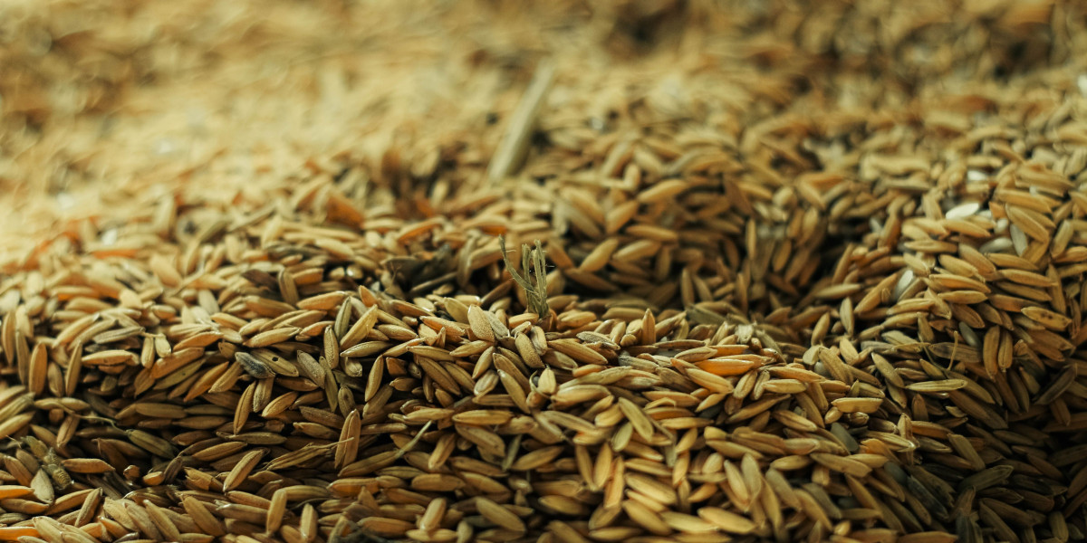 Australia Grain Production Market | Segments, Size and Demand, Dynamics